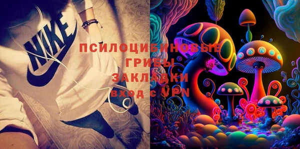 spice Алексеевка