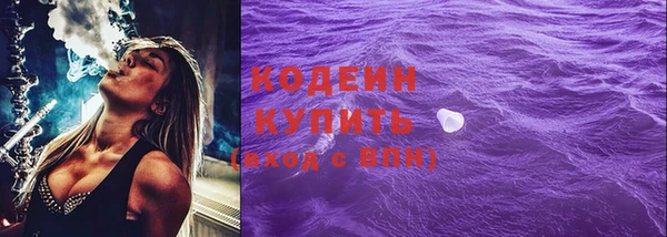 амф Елизово